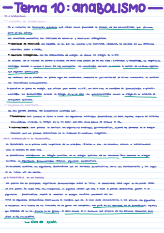 B-Tema-10-ANABOLISMO.pdf