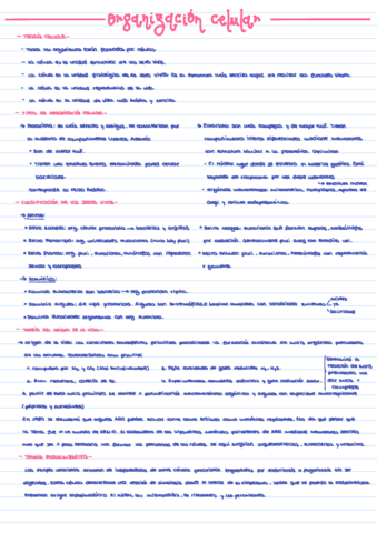 B-Tema-5-II.pdf