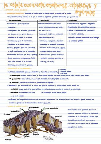 B-Tema-6-II.pdf