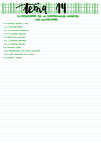 B-Tema-14.pdf