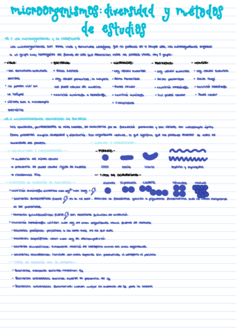 B-Tema-16.pdf