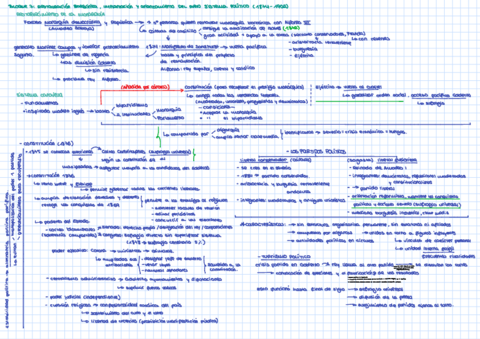 Bloque-7-I-ESQUEMA.pdf