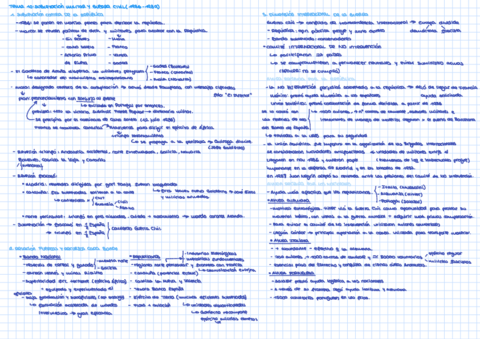 Bloque-10-La-P-Guerra-Civil.pdf