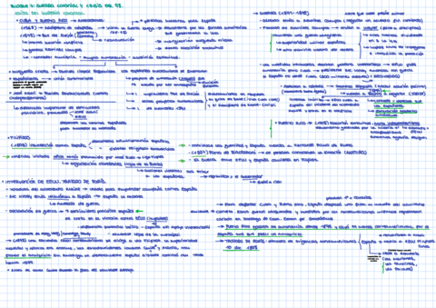 Bloque-7II-Esquema.pdf