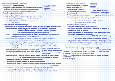 Bloque-11-EL-FRANQUISMO.pdf