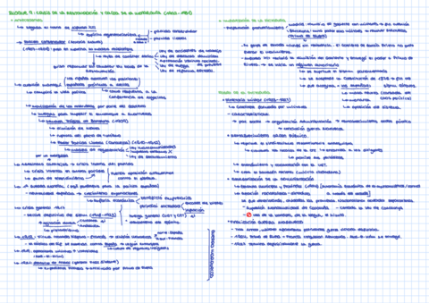 Bloque-9-ESQUEMA.pdf