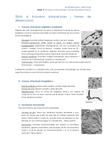 Tema-4.pdf