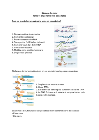 Tema-8-El-genoma-dels-eucariotes.pdf