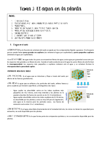 tema-2-fisio-vegetal-.pdf