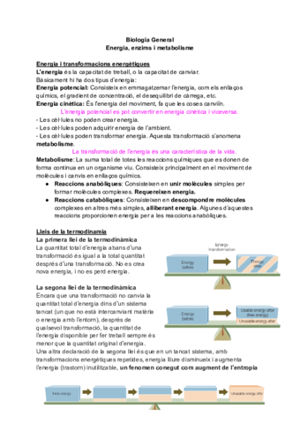 Tema-3Energia-enzims-i-metabolisme.pdf