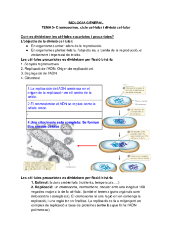 tema5-Cromosomes-cicle-cellular-i-divisio-cellular.pdf