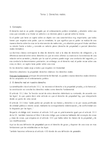 civil-tema-1.pdf