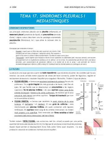 Tema-17-BBP-Sindromes-pleurals-i-mediastiniques.pdf