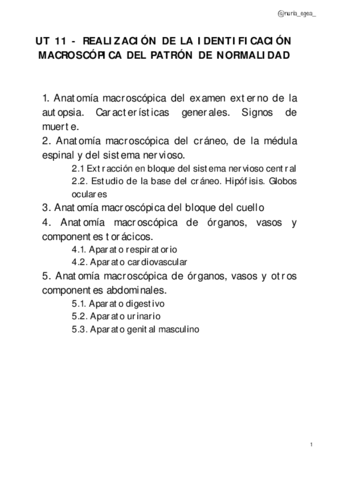 UT-11-Realizacion-de-la-identificacion-macroscopica-del-patron-de-normalidad.pdf