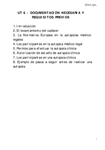 UT-6-Documentacion-necesaria-y-requisitos-previos.pdf