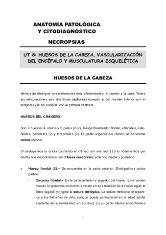 Huesos-de-la-cabeza.pdf