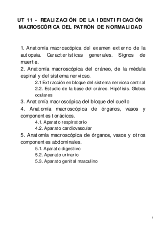 UT-11-Realizacion-de-la-identificacion-macroscopica-del-patron-de-normalidad-2.pdf