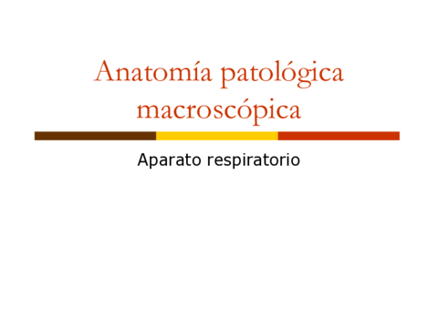 NECRO-UT11-02-Respirat-H.pdf