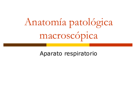 NECRO-UT11-02-Respirat-G.pdf