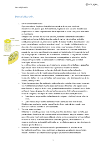 Descalcificacion.pdf