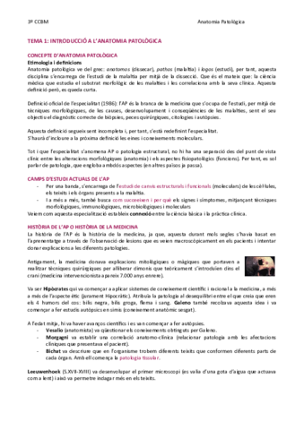 TEMA-1-Introduccio-a-lAP.pdf