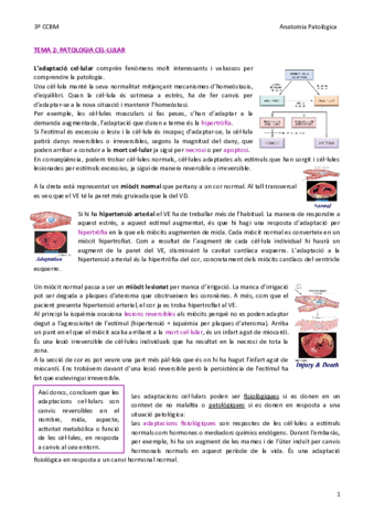 TEMA-2-Patologia-cellular.pdf