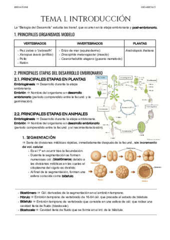 Tema-1.pdf