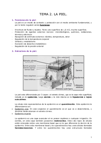 TEMA-2-dermo.pdf