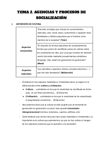 TEMA-2.pdf