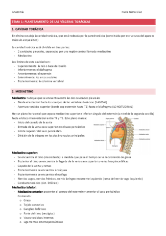 TEMA 1 - Plant vísceras torácicas