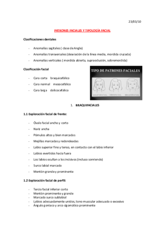 5patrones-faciales-y-tipologia-facial-23.pdf