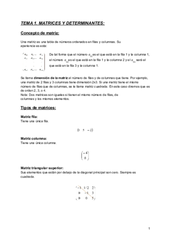 TEMA-1.pdf