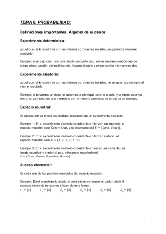 TEMA-6.pdf