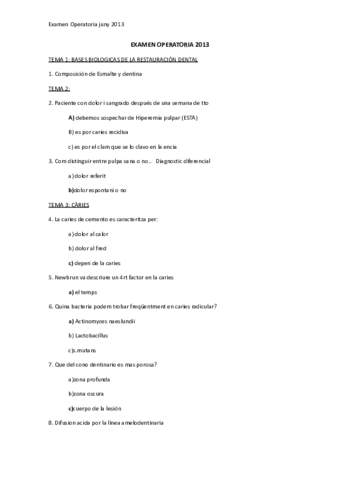 Final2013-.pdf