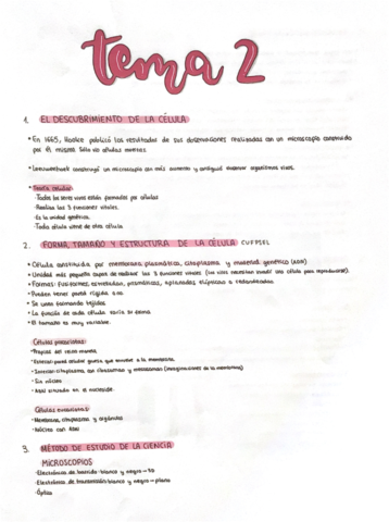 La-celula-.pdf