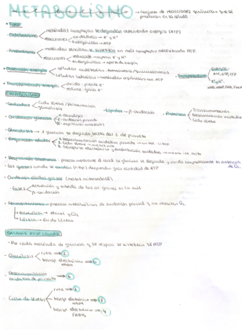 Metabolismo.pdf