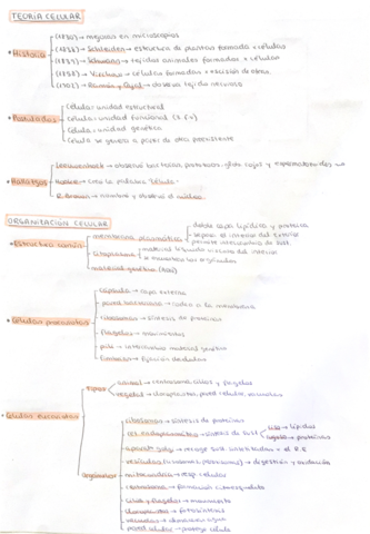Teoria-celular-y-membrana.pdf