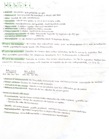Definiciones-mendel.pdf