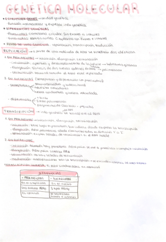 Genetica-molecular-.pdf