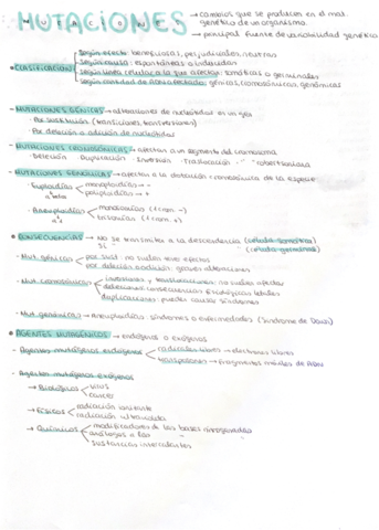 Mutaciones-.pdf