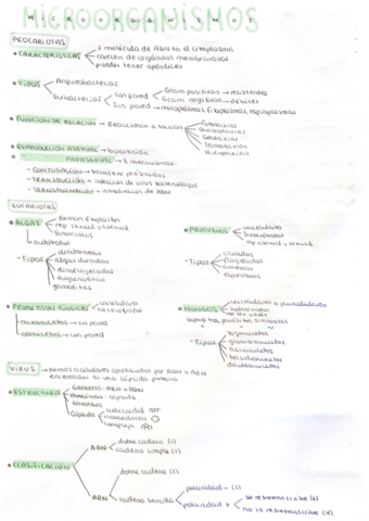 Microorganismos-y-enfermedades-.pdf