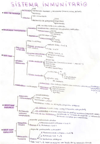 Sistema-inmunitario-.pdf