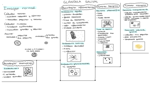 TEMA-5-GENE.pdf