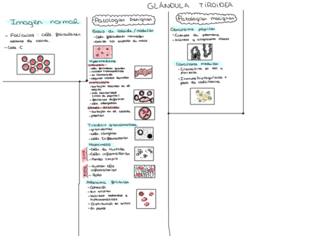 TEMA-4-GENE.pdf