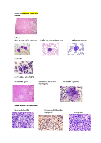 IMAGENES-T3-4-5.pdf