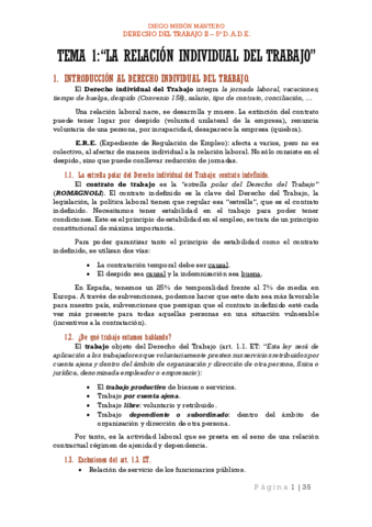 Derecho-del-Trabajo-II-Wolfresumen.pdf