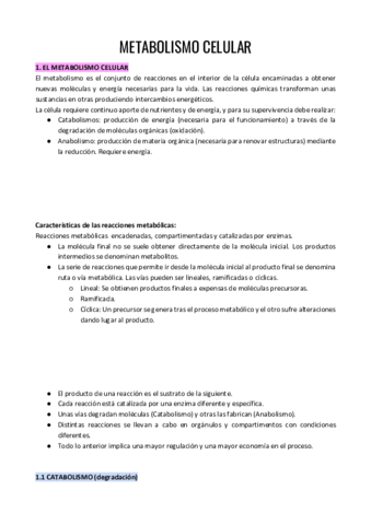 TEMA-9.pdf