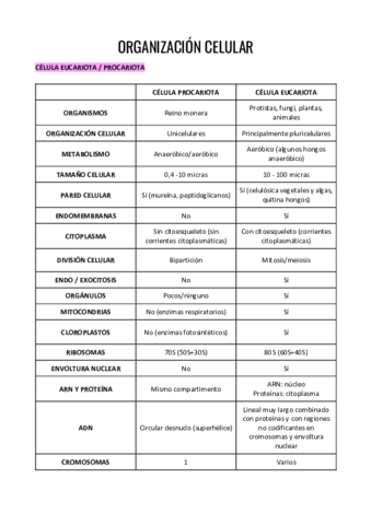 TEMA-6.pdf