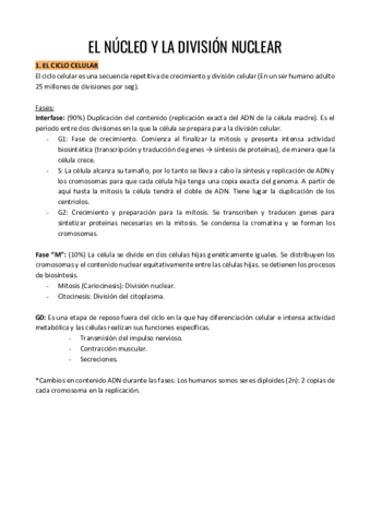 TEMA-10.pdf