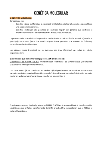 TEMA-12.pdf